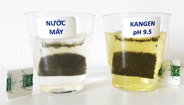Cách pha trà với nước điện giải ion kiềm đun sôi