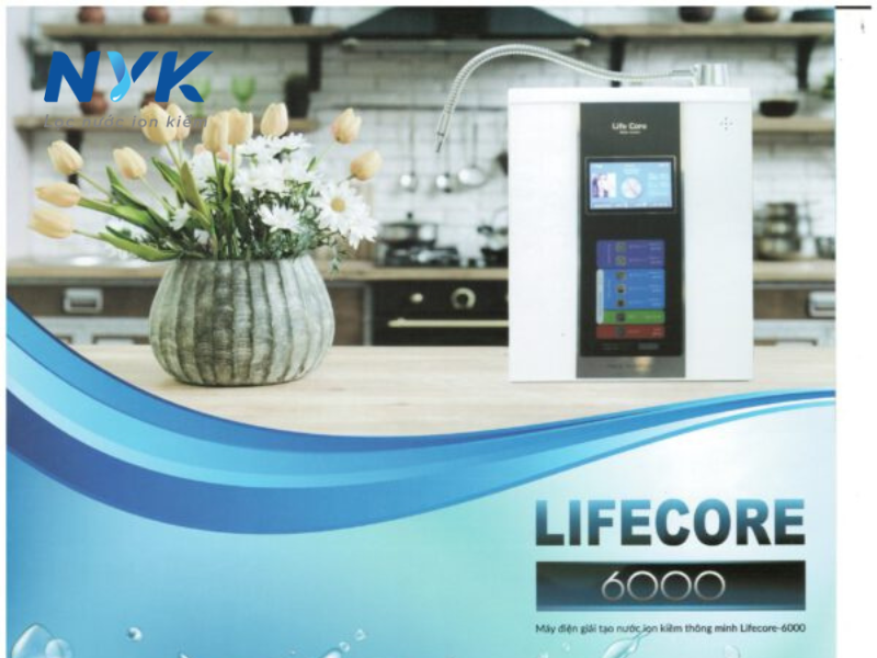 Lifecore 6000